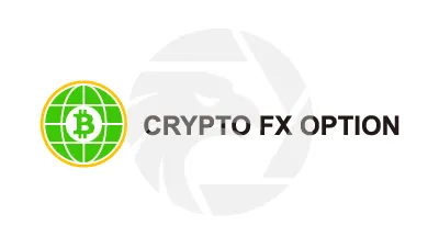 Crypto Fx Option