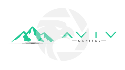 AvivCapitals
