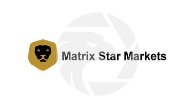 Matrix Star Markets