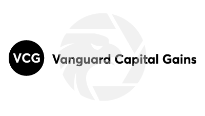 Vanguard Capital Gains