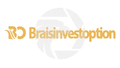 braisinvestoptions