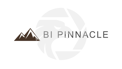 Bi Pinnacle Global 保丰国际集团