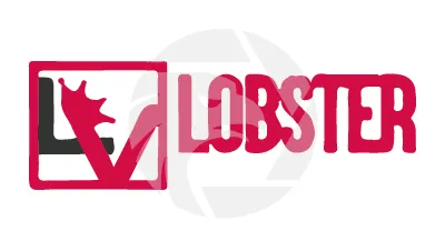 LOBSTER VEST HOLDINGS