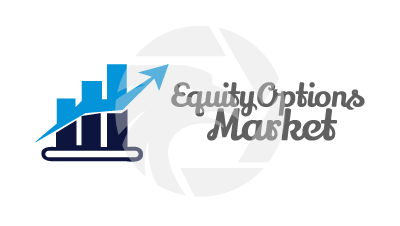Equity options market