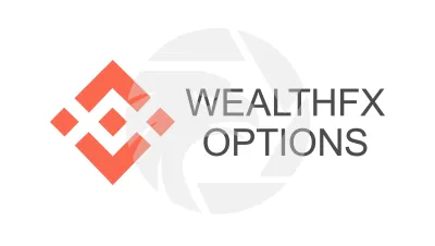 WealthFX Options