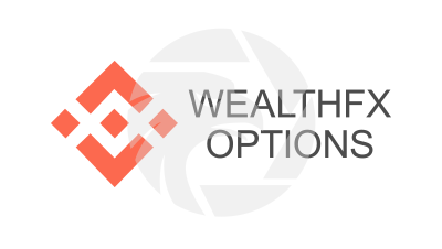 WealthFX Options