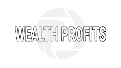 WEALTH PROFITS
