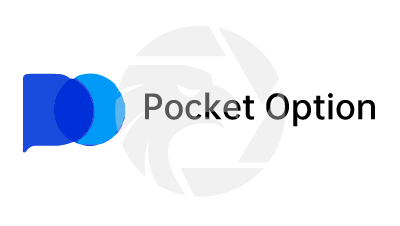 Flux Pocket Option