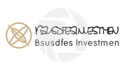 Bsusdfes Investmen