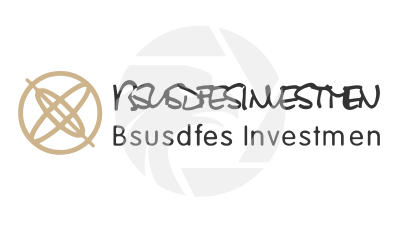 Bsusdfes Investmen