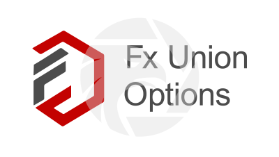 Fx Union Options