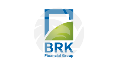 BRK Financial Group