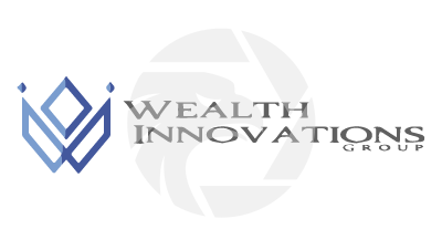 Wealth Innovations Group