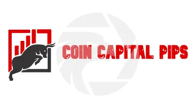 Plus Capital Pips