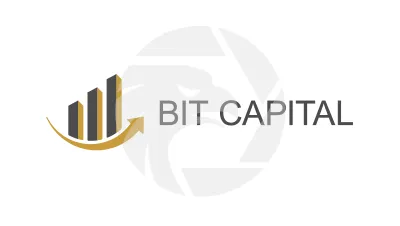 Bit Capital