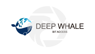 Deepwhalebitaccess