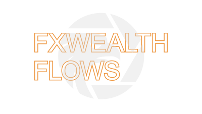 FxWealth Flows