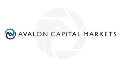 Avalon Capital Markets