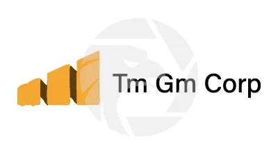 Tm Gm Corp