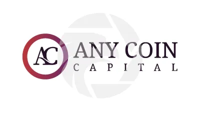 Any Coin Capital