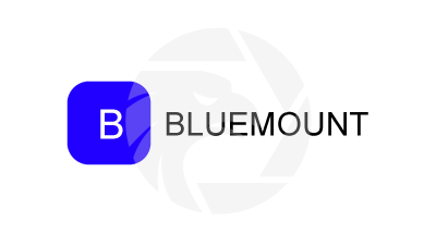 BLUEMOUNT蓝山集团