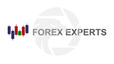 FOREX EXPERT