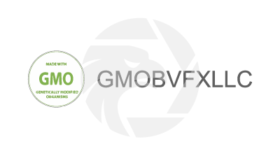 GMOBVFXLLC