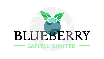 BlueBerry Capital Limited