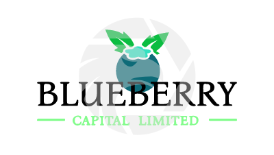 BlueBerry Capital Limited