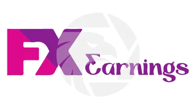 FX Earnings