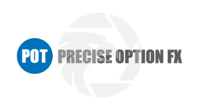 PRECISE OPTION FX