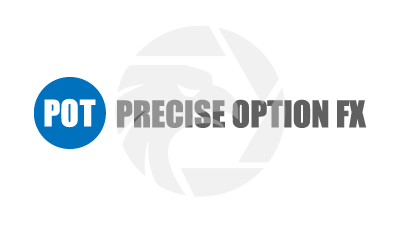 PRECISE OPTION FX
