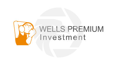 Wells Premium Investment