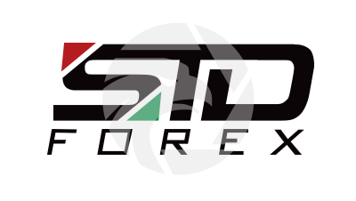 StdForex 标准外汇