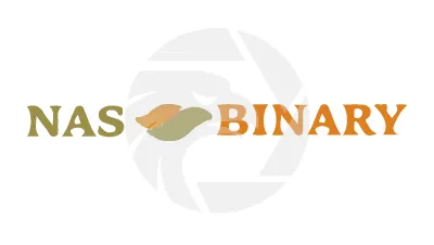 nasbinary.online