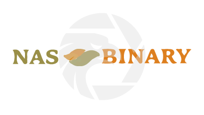 nasbinary.online