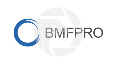BMF Professional 