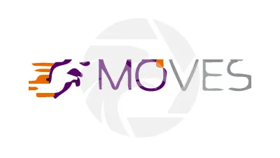 MOVES MANAGER LTD