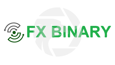  FX BINARY