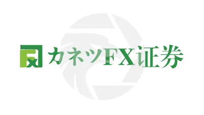 kanetsufx