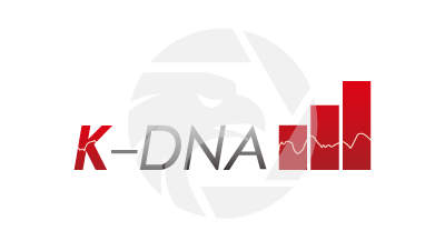 K-DNA