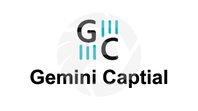 GeminiCap