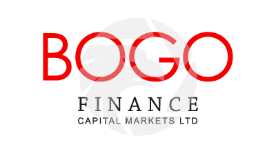 Fake Bogofinance