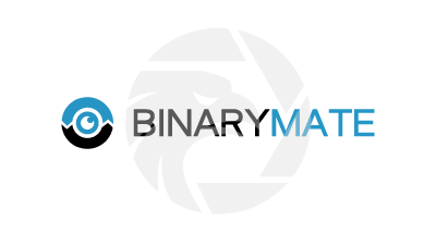 Binarymate