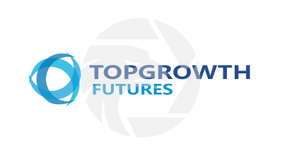 Topgrowth Futures