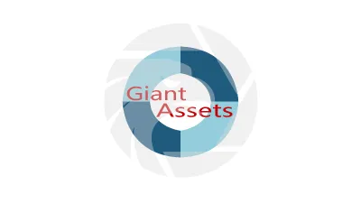 GIANT ASSETS