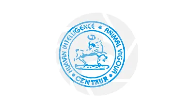 CFS FINANCIAL SERVICES