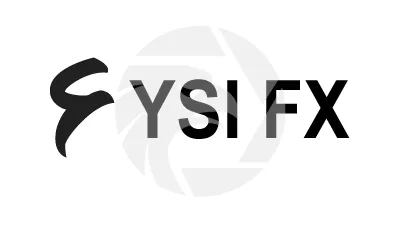 YSI FX