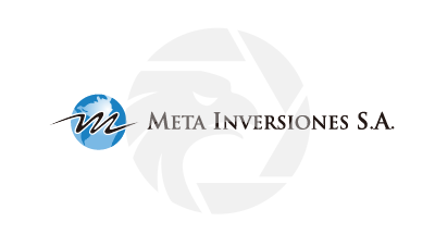 META INVERSIONES