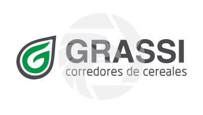 Grassi